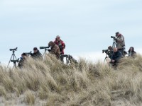 DK Birders3038  Danish birders in action. Klaus Malling Olsen in red jacket.